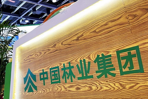 中林集團子公司商票逾期風波加劇，原董事長遭起訴，旅游業務何去何從？