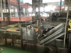 104班云朵家研學之旅 探秘祖名豆腐廠，品味傳統工藝的現代傳承