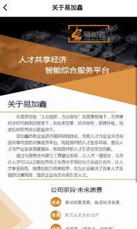 易加鑫 國(guó)內(nèi)貿(mào)易代理的崛起與價(jià)值探索